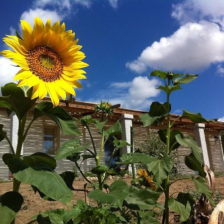 Nacchinono Bed & Breakfast Olbia Exterior foto