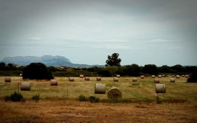 Nacchinono Bed & Breakfast Olbia Exterior foto